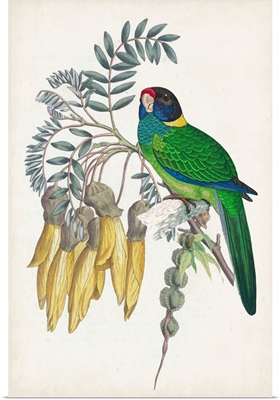Tropical Bird & Flower II