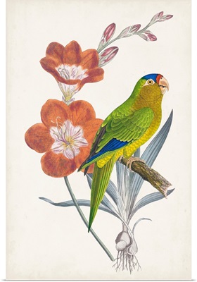 Tropical Bird & Flower III