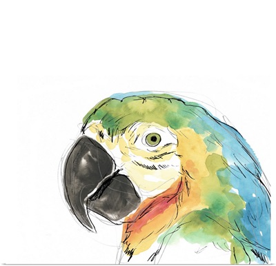 Tropical Bird Portrait I