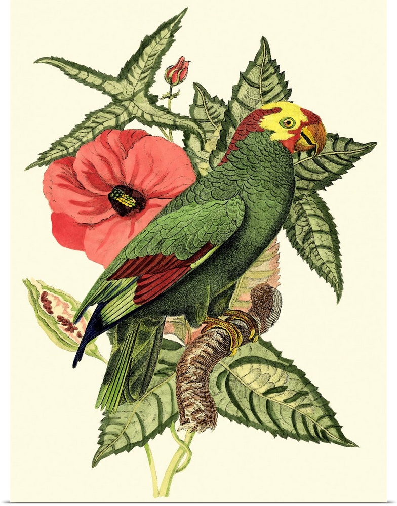 Tropical Birds and Botanicals I