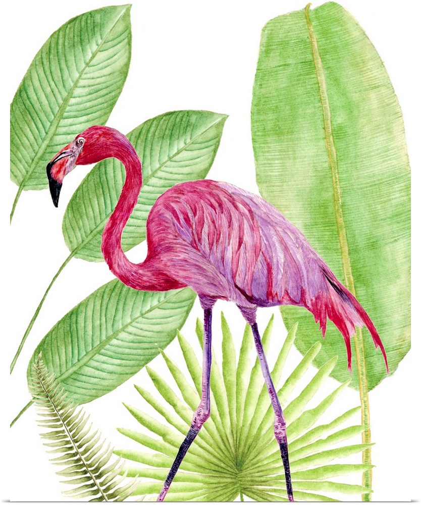 Artwork of a brightly colored flamingo against tropical green leaves.