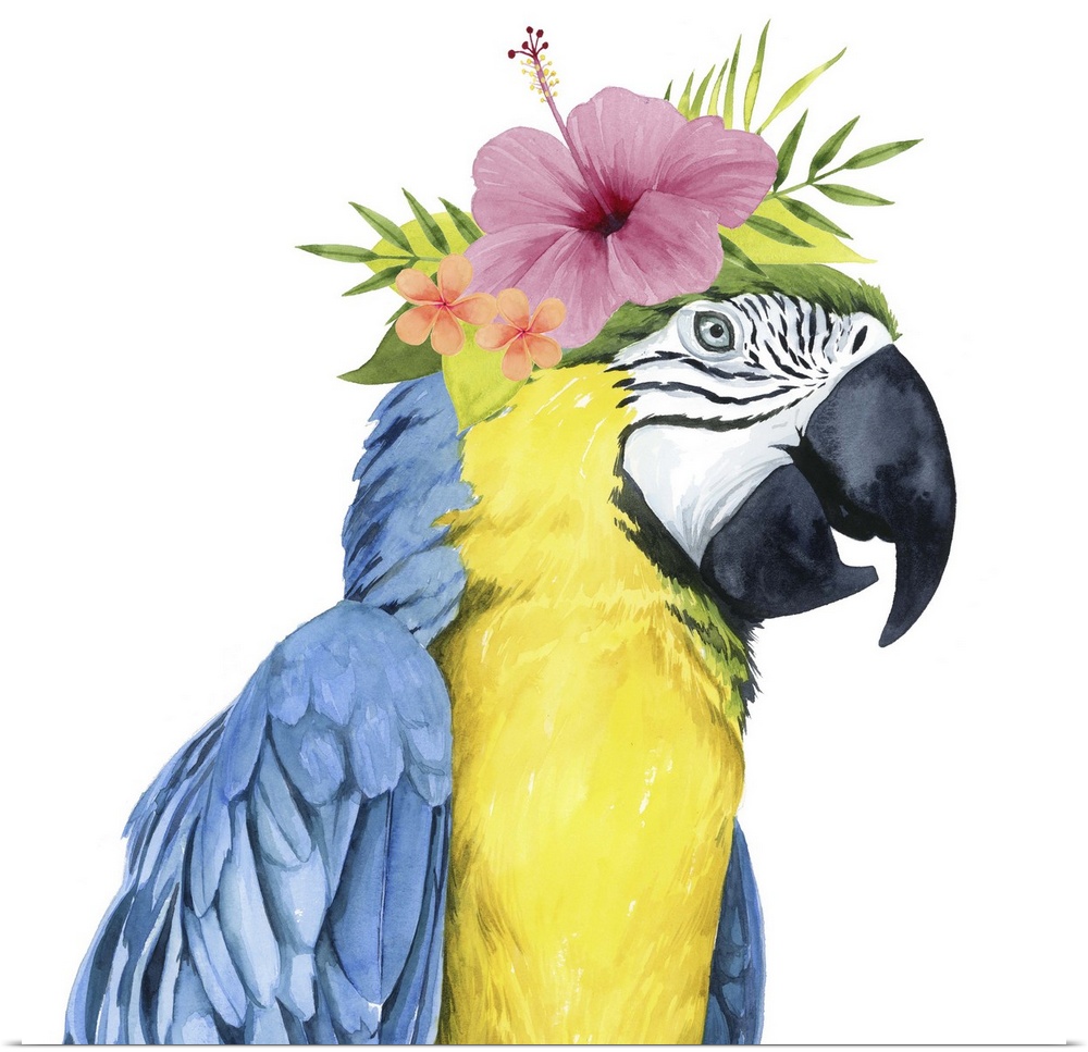 This decorative artwork features an adorable parrot over a white background with a tropical flower crown on its head.