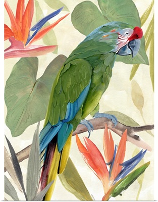 Tropical Parrot Composition I