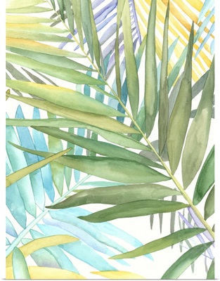 Tropical Pattern II