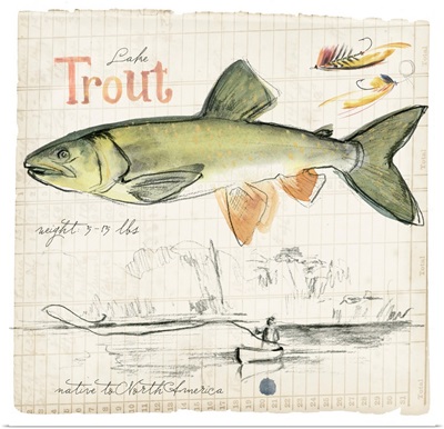 Trout Journal III