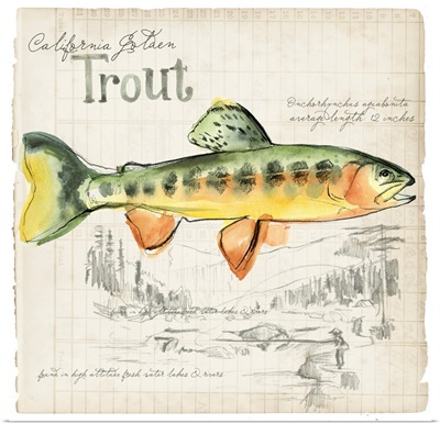Trout Journal IV