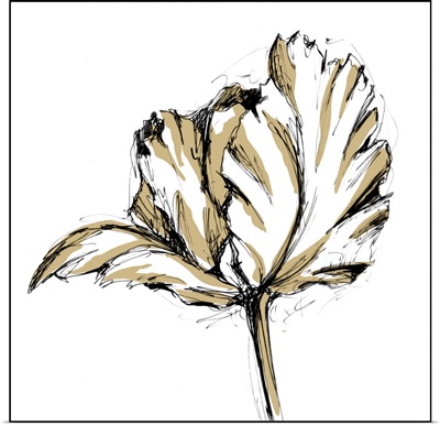 Tulip Sketch III