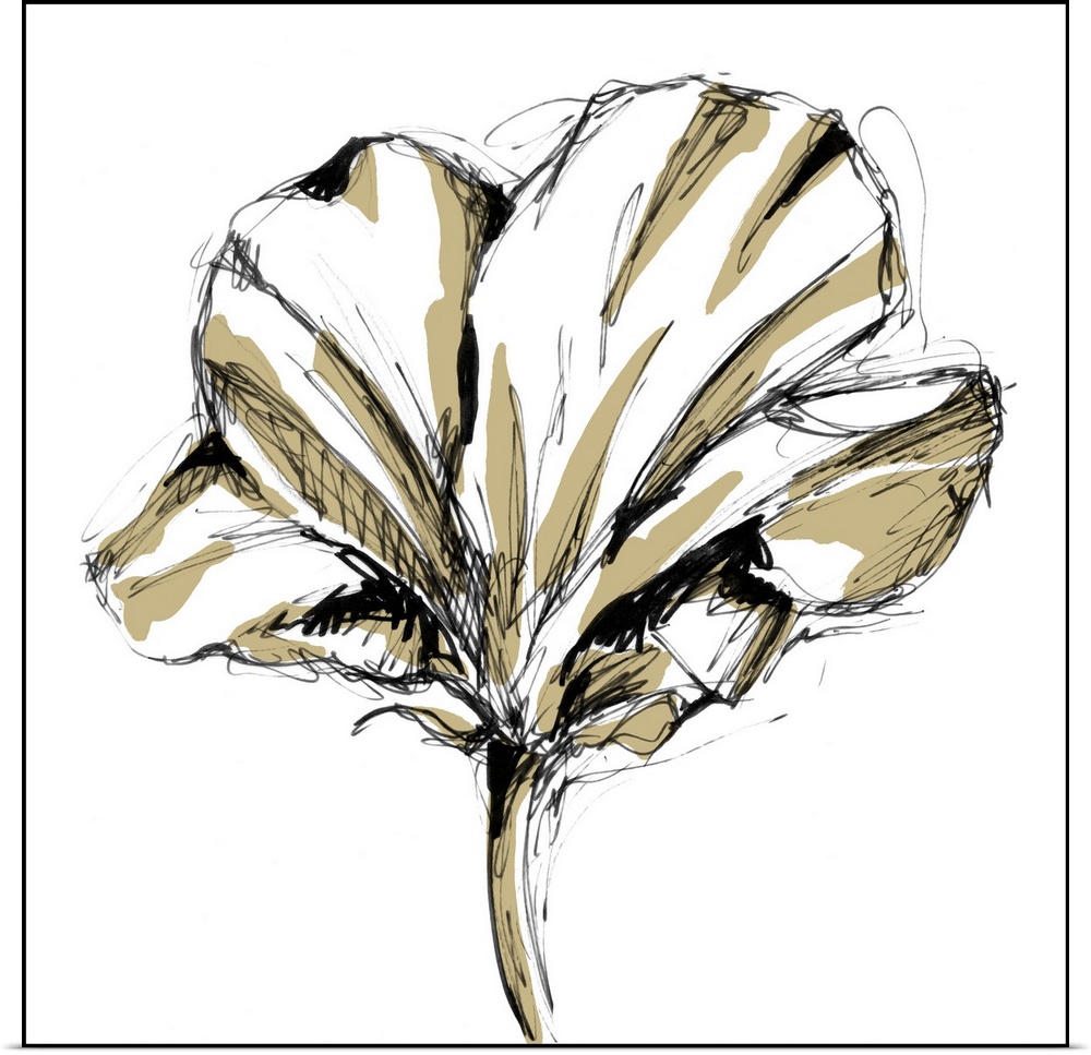 Tulip Sketch IV