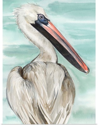 Turquoise Pelican I