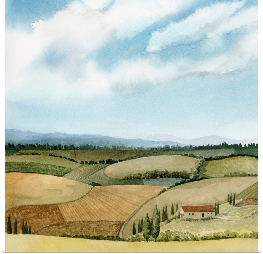 Tuscan Farmland II