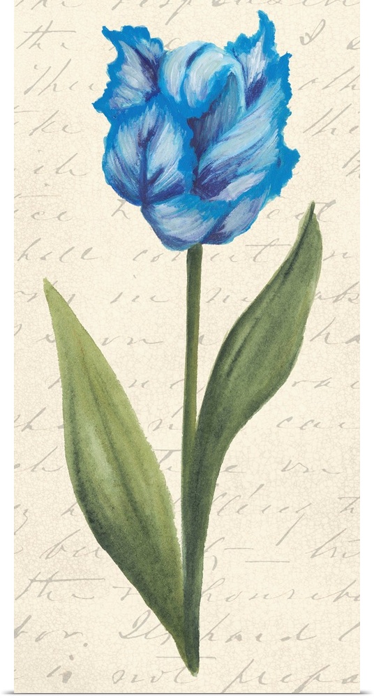 Contemporary artwork of a tulip against a cream colored background with script.