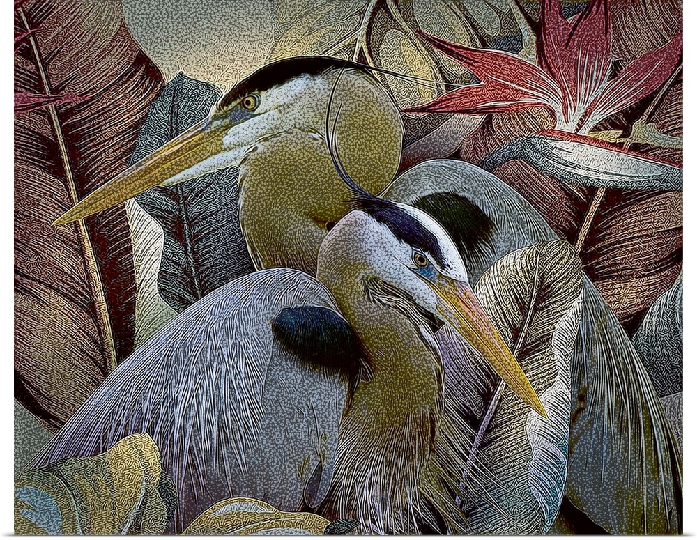 Two herons sitting together amongst tropical leaves and flowers.