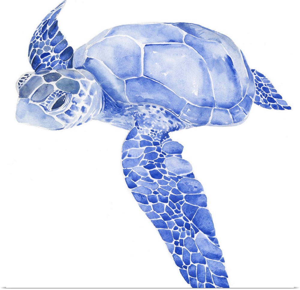 Bright blue watercolor illustration of a sea turtle.