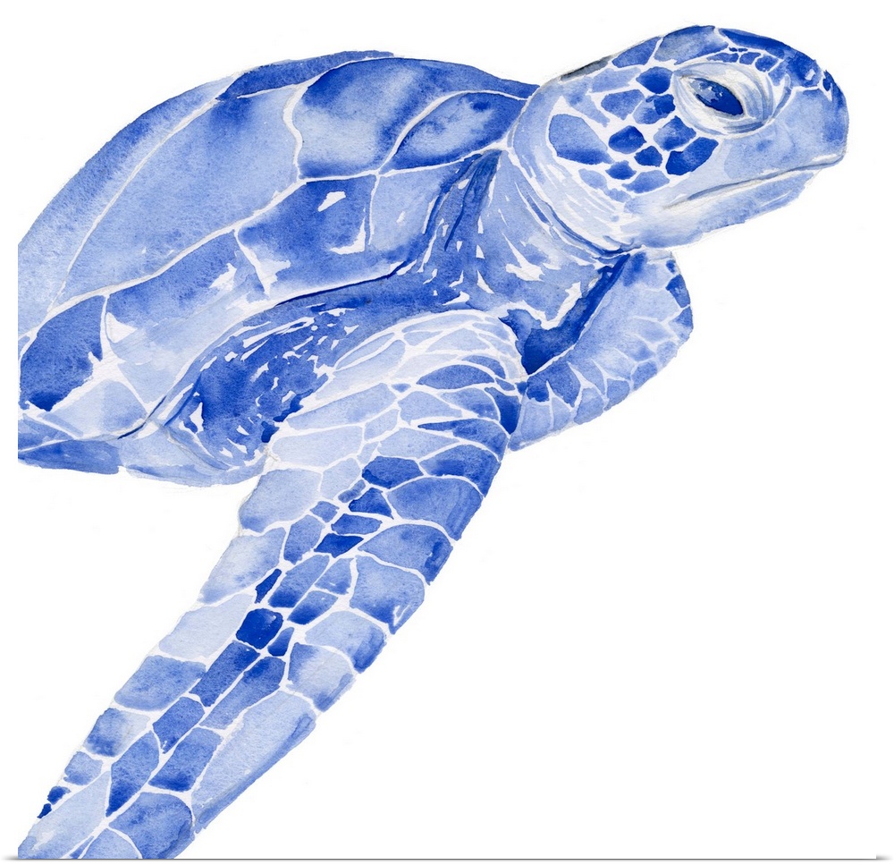 Bright blue watercolor illustration of a sea turtle.