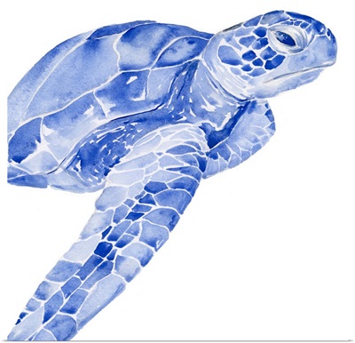 Ultramarine Sea Turtle II