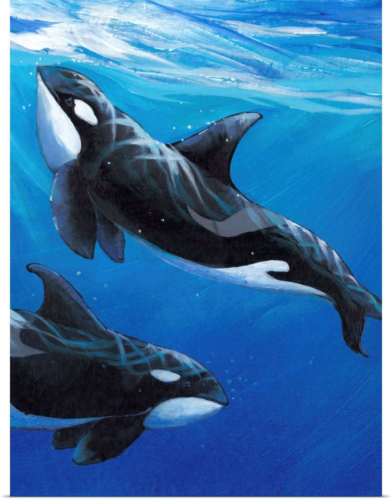 Contemporary painting of two orca whales swimming close to the surface of the ocean.