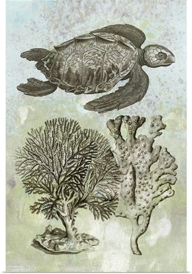 Underwater Sea Turtle I