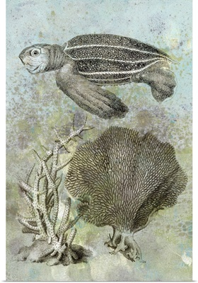 Underwater Sea Turtle II