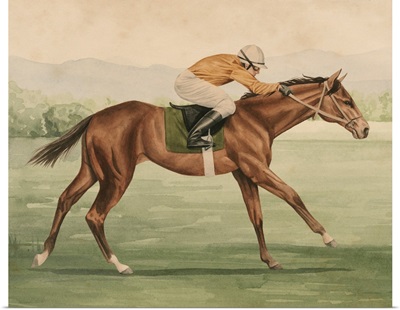 Vintage Equestrian II