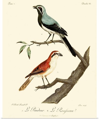 Vintage French Birds II