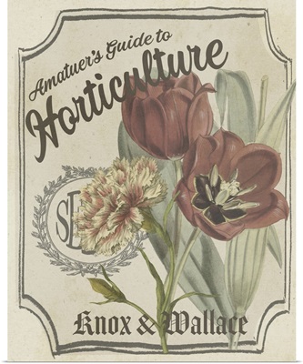 Vintage Seed Packets I