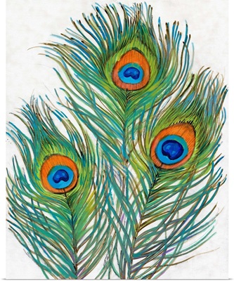 Vivid Peacock Feathers II