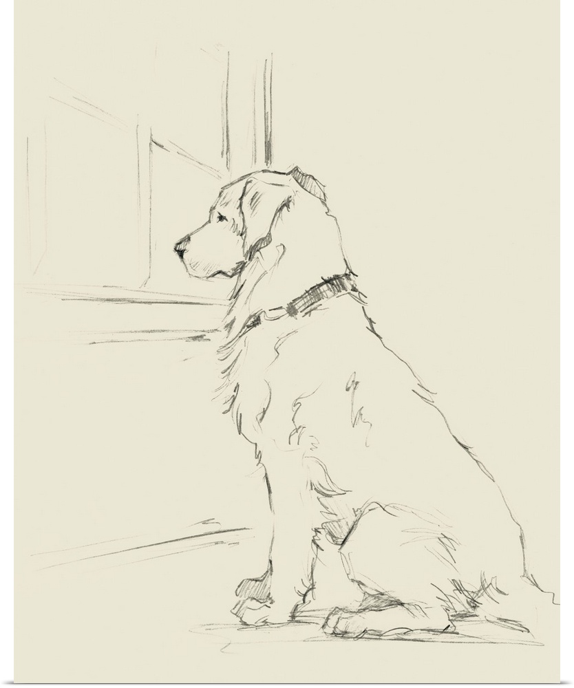 Sketch of a golden retriever waiting at a window for its owner to come home.