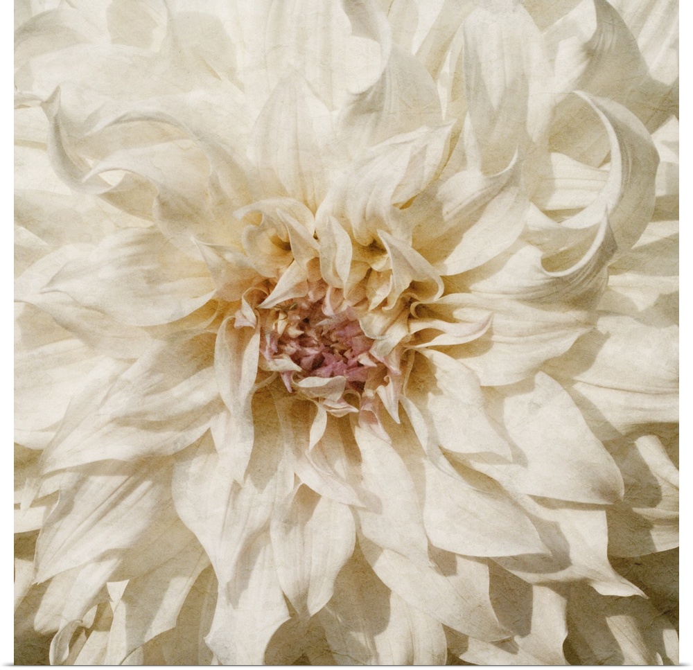 Flowers in shades of white and yellow fill this decorative art edge to edge.