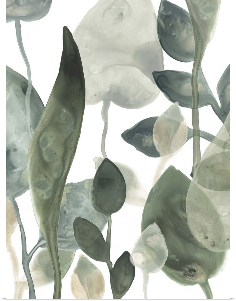 Pools of green and blue color form into stems of leaves over a white background and give the illusion of floating in water.