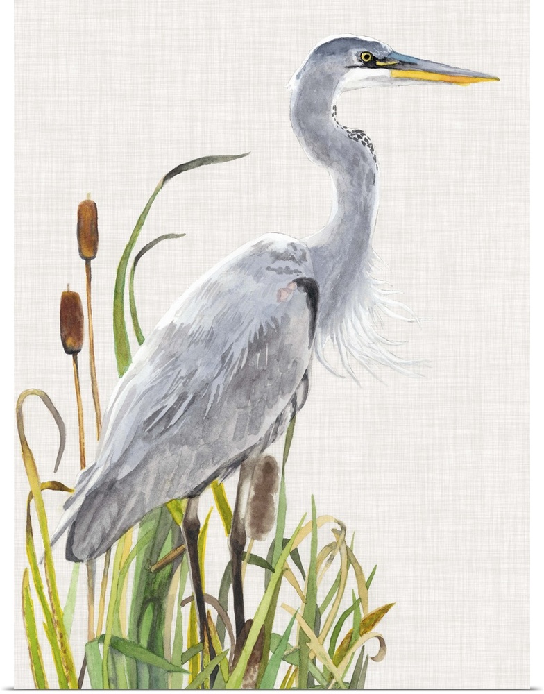 Painting of a heron standing in tall reeds.