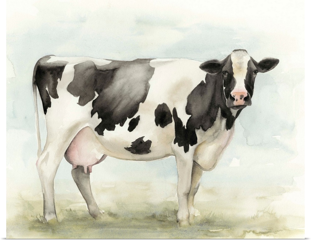 Watercolor Cow I