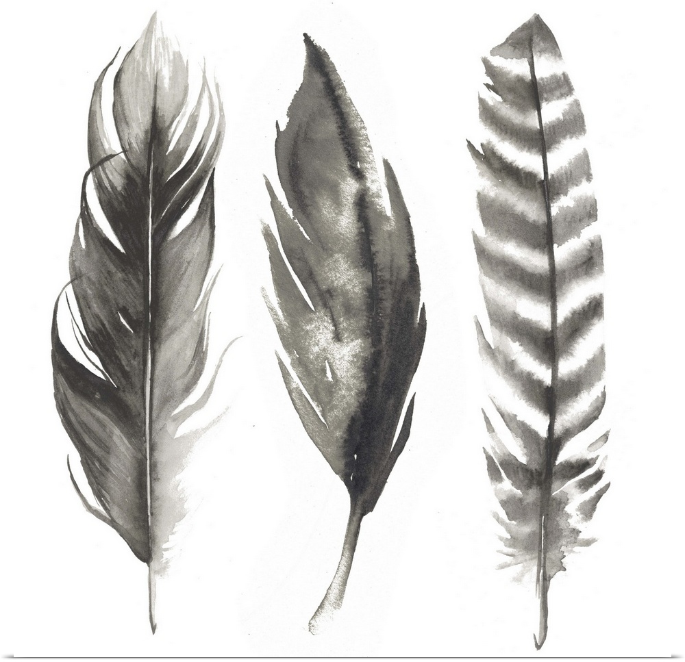 Contemporary watercolor feathers against a white background.