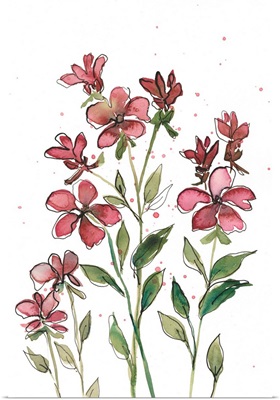 Watercolor Floral Stems II