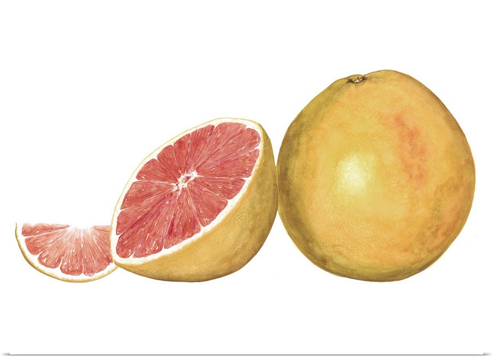 Watercolor painting of a whole and halved grapefruit against a white background.