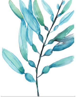 Watercolor Kelp I