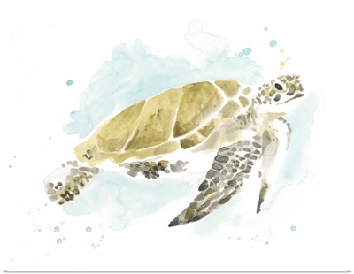 Watercolor Sea Turtle Study I