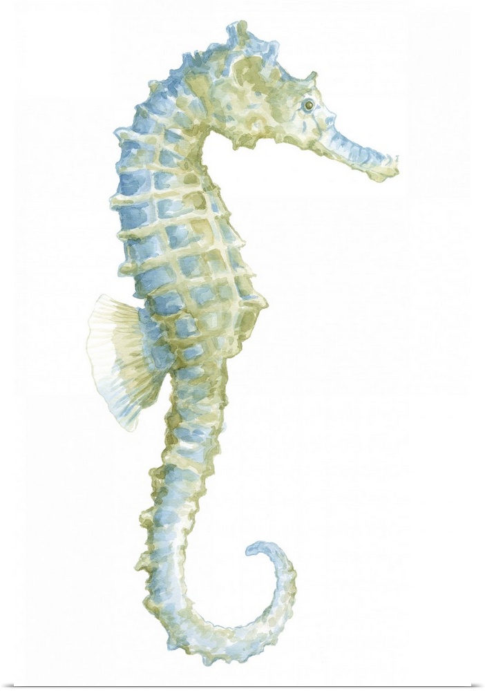 Watercolor Seahorse I
