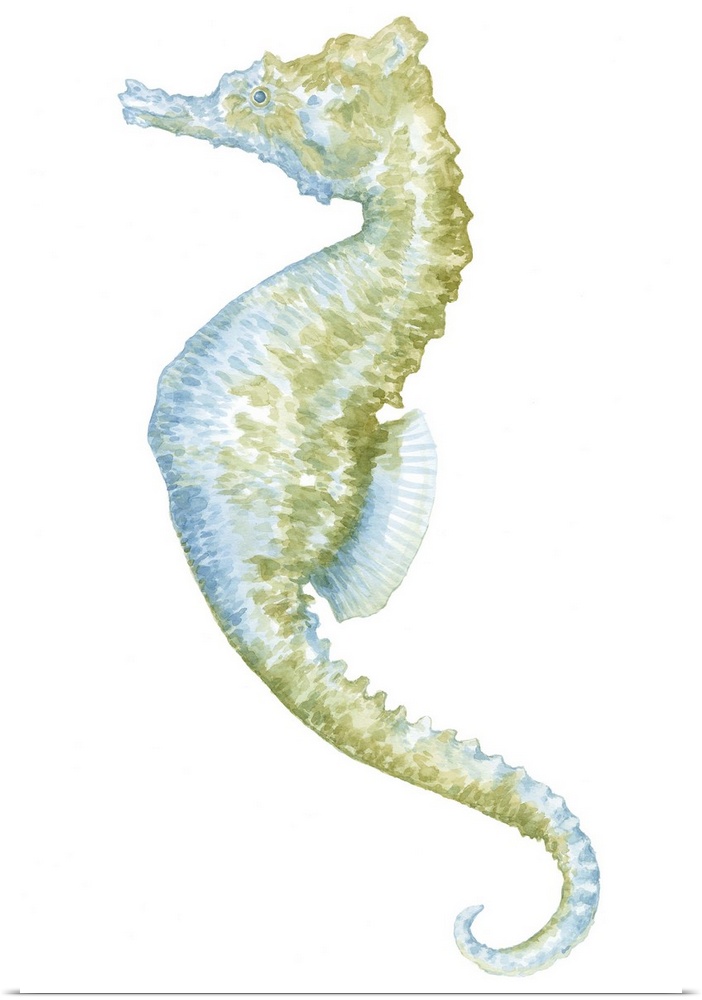 Watercolor Seahorse II