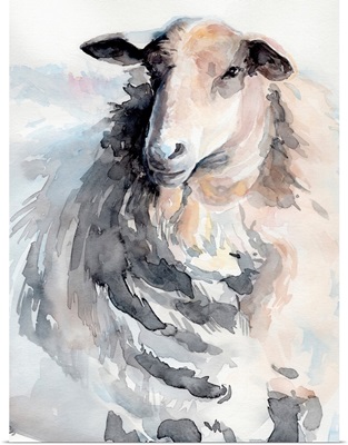 Watercolor Sheep II
