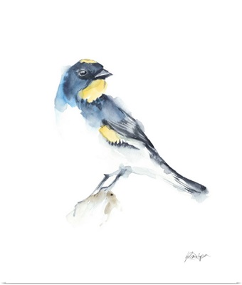 Watercolor Songbirds III