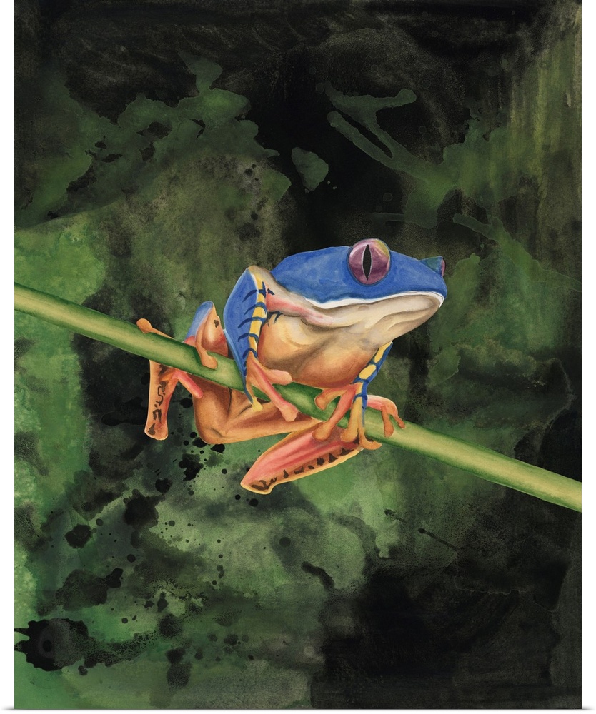 Watercolor Tree Frogs III