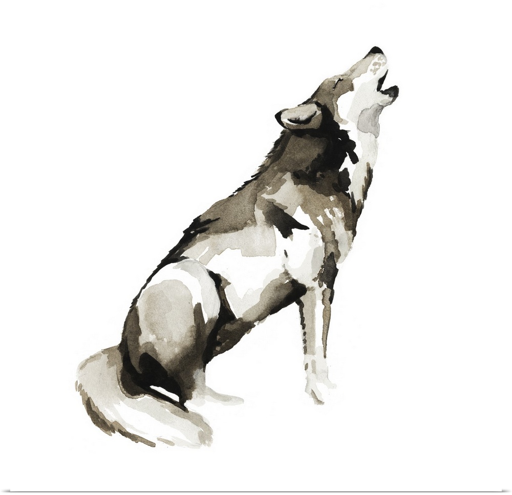 Watercolor painting of a wolf against a white background.