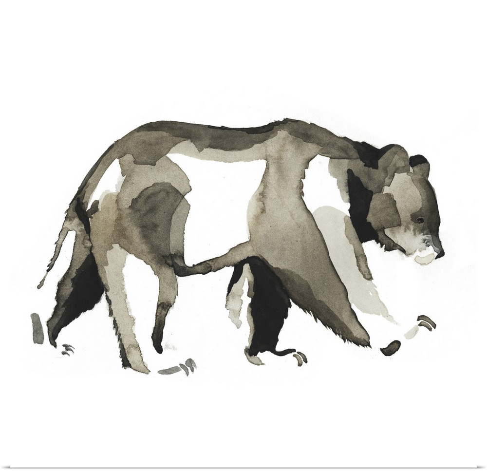 Watercolor painting of a bear against a white background.