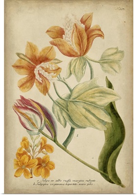 Weinmann Tropical Floral II