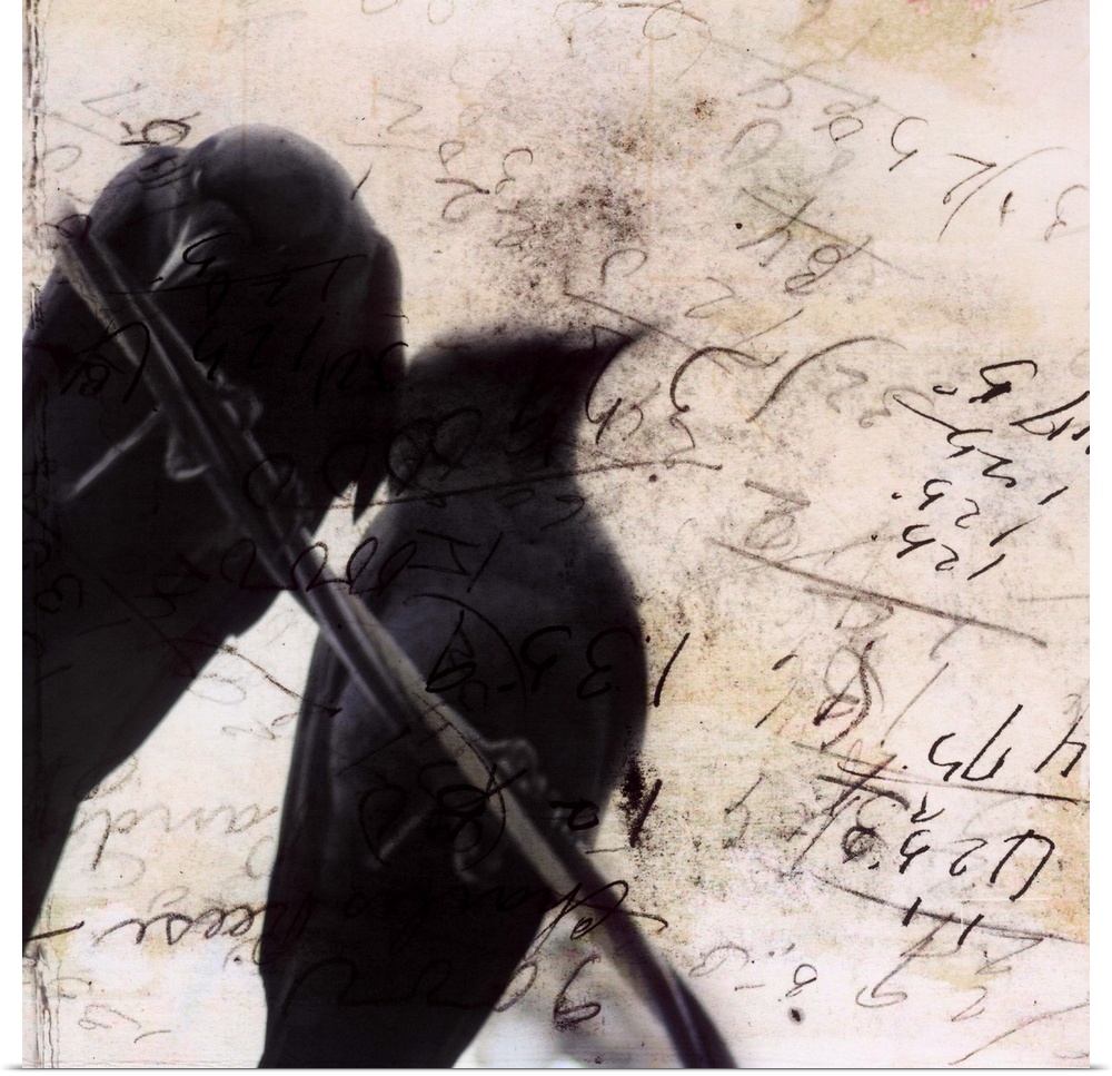 Artwork of pair of silhouetted crows perched on a wire against a scribbled weathered piece of paper.