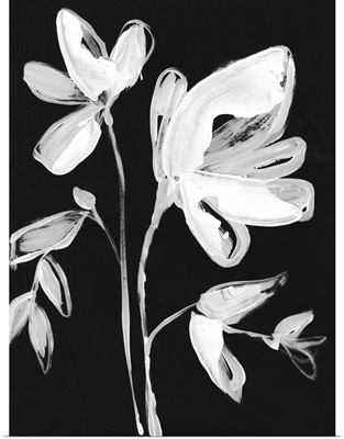 White Whimsical Flowers II