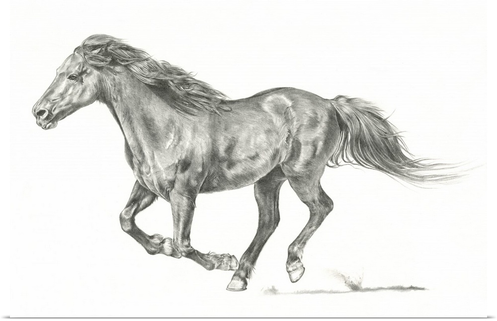 Black and white drawing of a running horse on a white background.