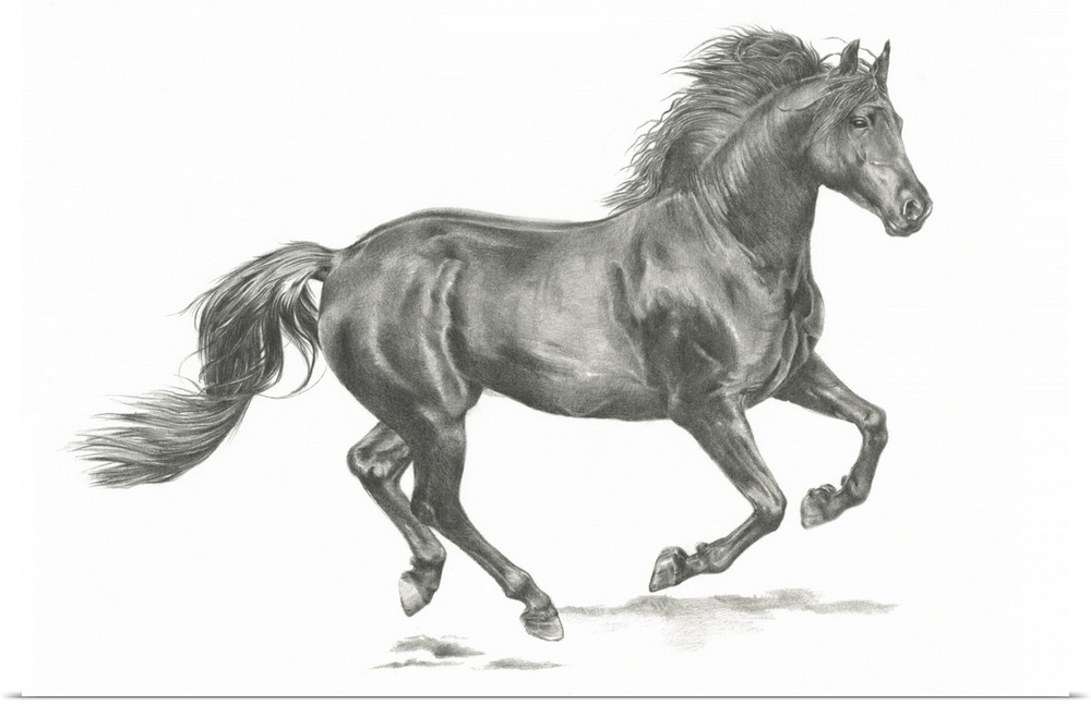 Black and white drawing of a running horse on a white background.