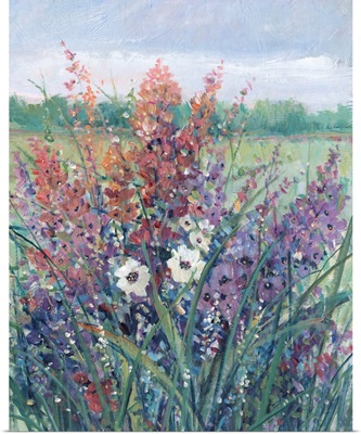 Wildflowers In Pasture II