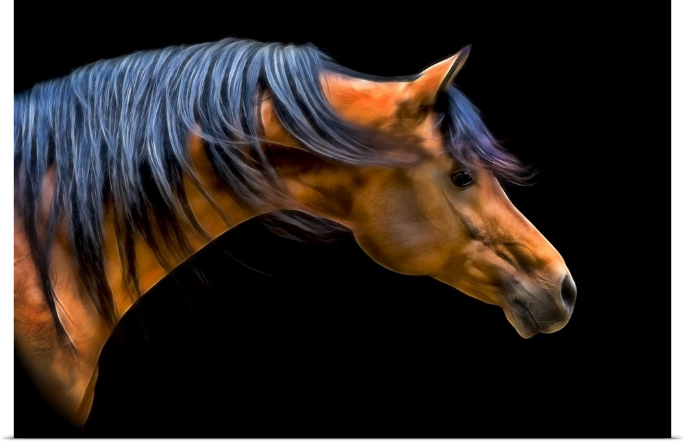 Fine art photo of the head and neck of a horse, with mane blowing in the wind.
